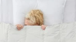 Dekbed Puurnatuur Wol 4-seizoenen -Beddengoed Korting Winkel Dekbed Puurnatuur wol 4 seizoenen 2