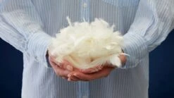 Hoofdkussen Ducky 1700 Gram 12 Hoofdkussen Ducky 1700 Gram -Beddengoed Korting Winkel Dekbed Select 15 dons 4 seizoenen