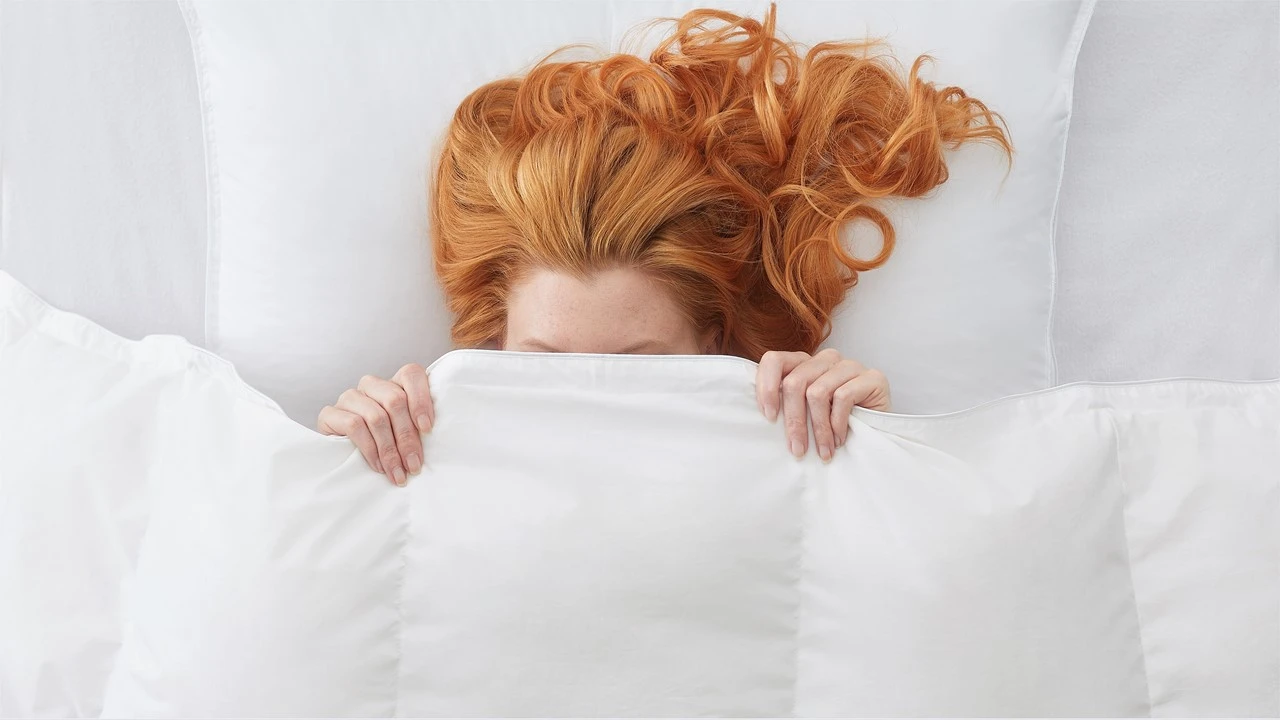 Dekbed Silvana Royale Extra Warm 100% Dons Winter 5 Dekbed Silvana Royale Extra Warm 100% Dons Winter - Afbeelding 3