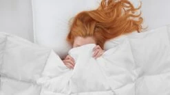 Dekbed Superieur 90% Dons Voor-/najaar -Beddengoed Korting Winkel Dekbed Superieur 90 dons voor najaar 2