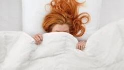 Dekbed Taurus 90% Dons 4-seizoenen -Beddengoed Korting Winkel Dekbed Taurus 90 dons 4 seizoenen 2