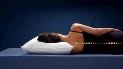 Hoofdkussen Ducky 1700 Gram 10 Hoofdkussen Ducky 1700 Gram -Beddengoed Korting Winkel Hoofdkussen Ducky 1700 gram 2