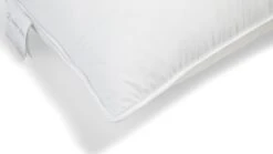 Hoofdkussen Ducky 1700 Gram 11 Hoofdkussen Ducky 1700 Gram -Beddengoed Korting Winkel Hoofdkussen Ducky 1700 gram 3