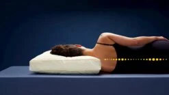 Hoofdkussen First Kapok -Beddengoed Korting Winkel Hoofdkussen First Kapok 2