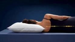 Hoofdkussen Frisk -Beddengoed Korting Winkel Hoofdkussen Frisk 2