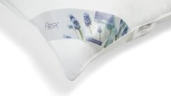 Hoofdkussen Frisk -Beddengoed Korting Winkel Hoofdkussen Frisk 3