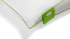 Hoofdkussen Silvana Comfort Groen -Beddengoed Korting Winkel Hoofdkussen Silvana Comfort Groen 3