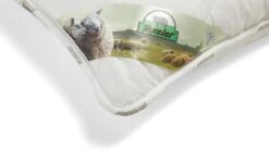 Hoofdkussen Soezzz Perfection Deluxe -Beddengoed Korting Winkel Hoofdkussen Soezzz Perfection Deluxe off white 3