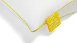 Neksteunkussen Silvana Support Cristal -Beddengoed Korting Winkel Neksteunkussen Silvana Support Cristal 3